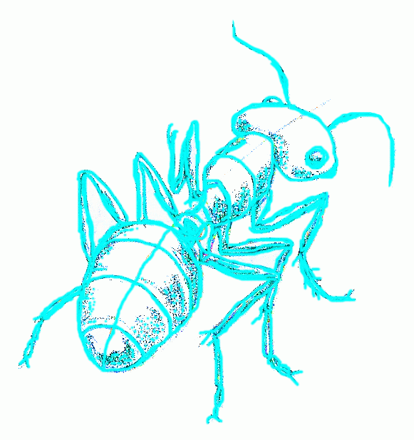 ant-8_617